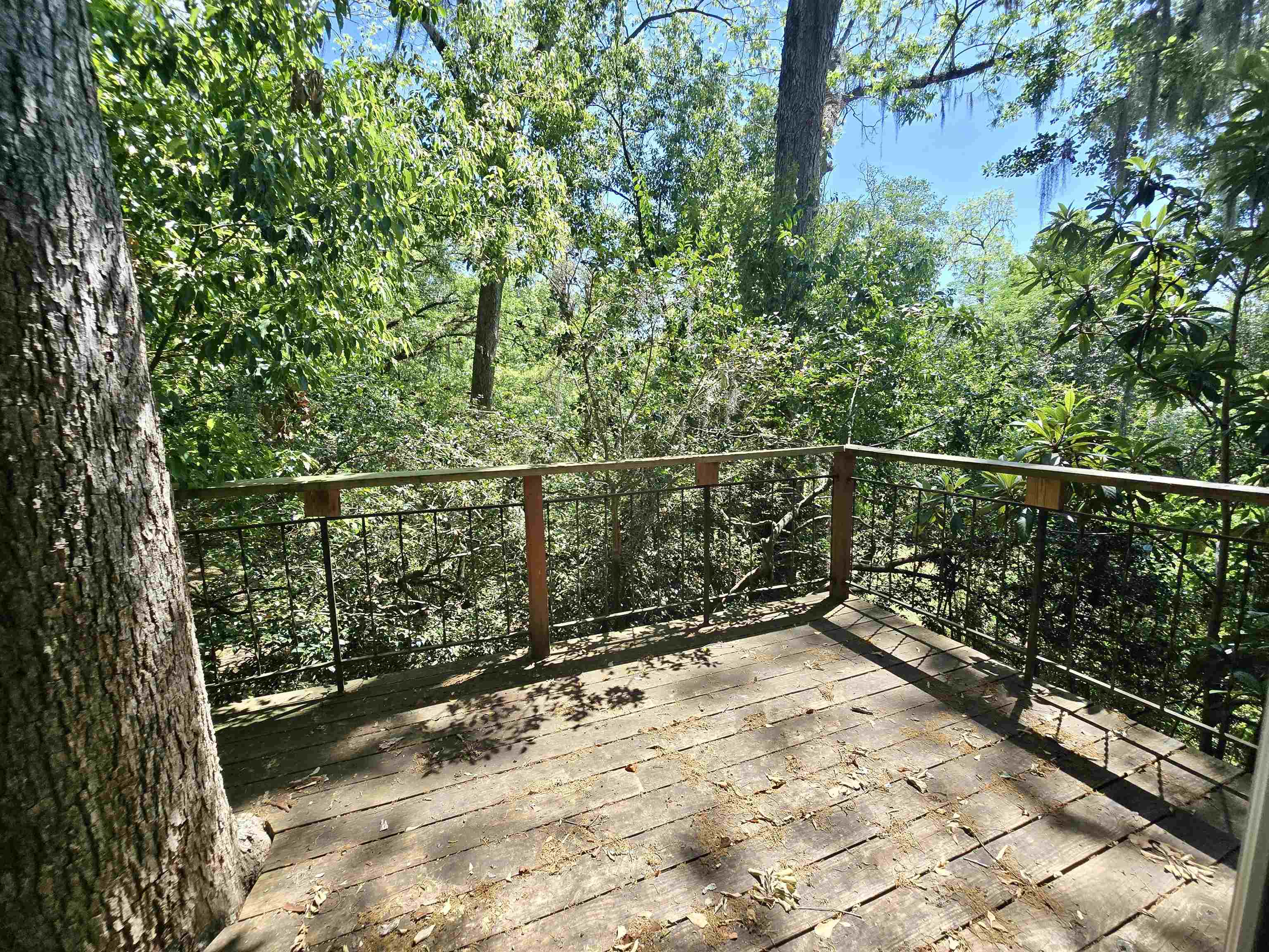 727 Miccosukee Road Tallahassee, FL 32308 - Photo 18 of 68