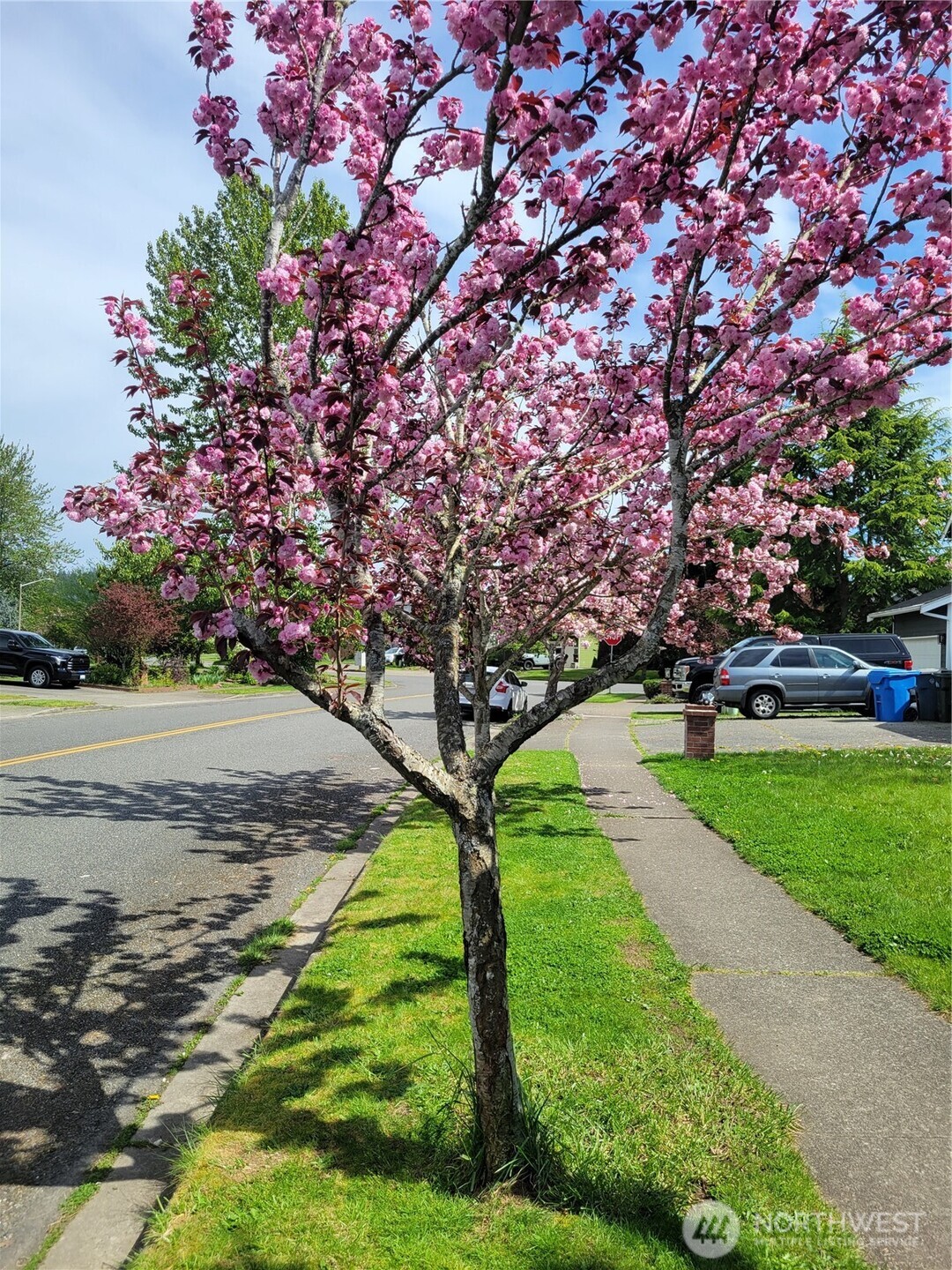 506 Skinner Way Southwest Orting, WA 98360 - Photo 4 of 5