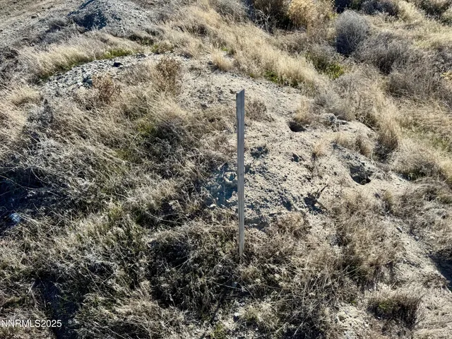 a view of a dry field with trees in the background