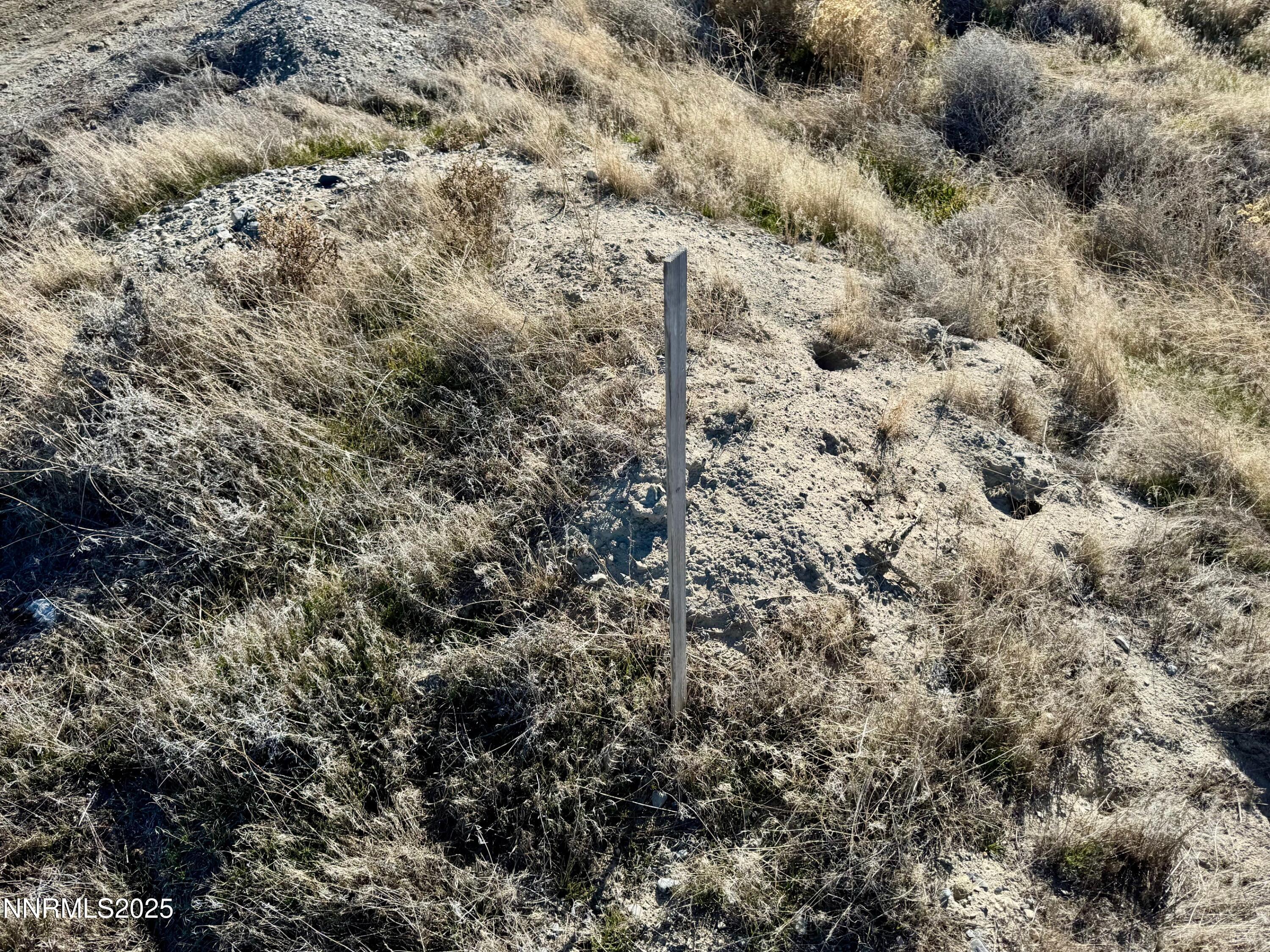 610101 Callahan Road Imlay, NV 89418 - Photo 8 of 28 a view of a dry field with trees in the background
