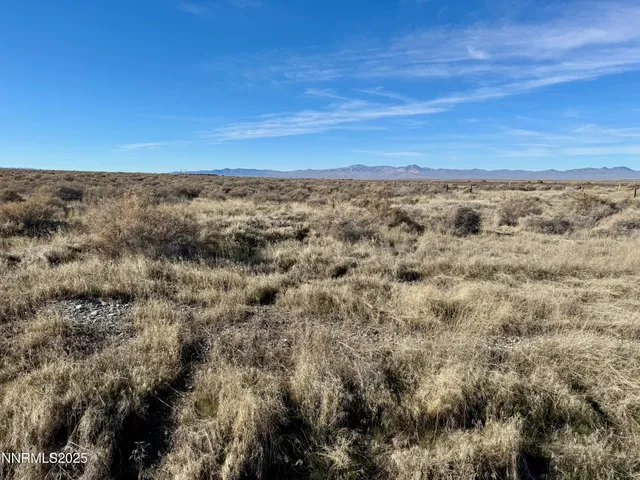 a view of a field with an ocean