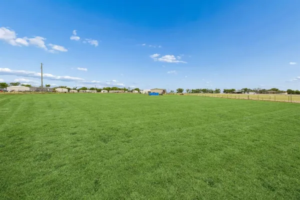 a view of a big yard of a large tree with plants in back
