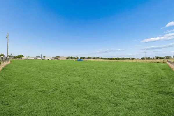 a yard with large trees