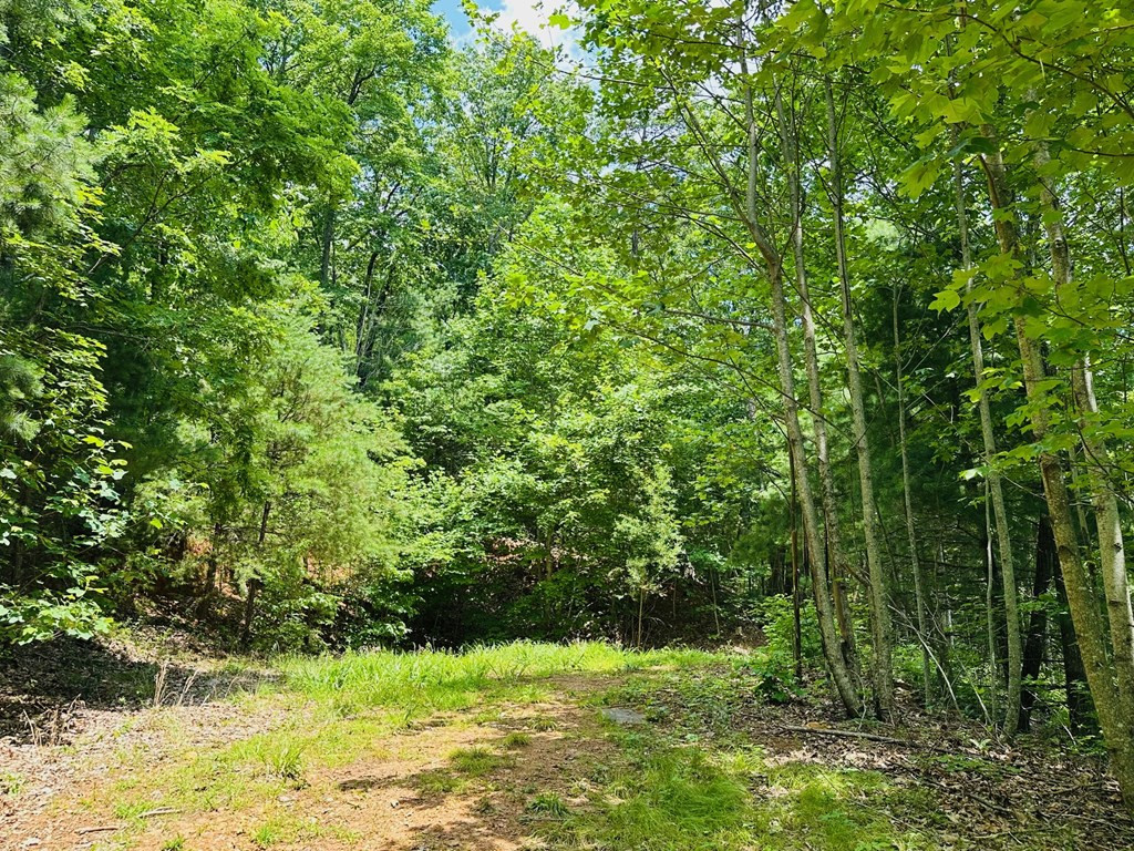 Lot 15 View Ridge Trail Murphy, NC 28906 - Photo 2 of 11 Flat building "pad"