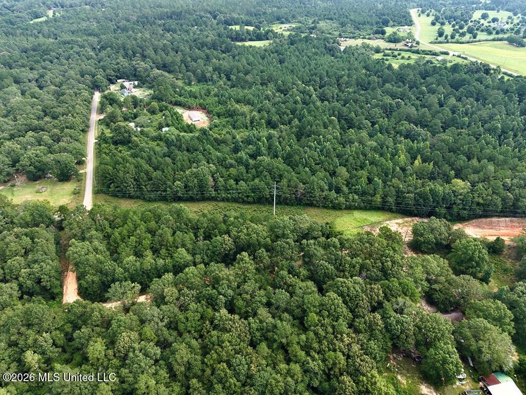 Tamchelle Road Lumberton, MS 39455 - Photo 7 of 24 IMG_1631