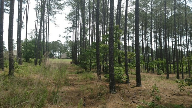 841 Steeplechase Road Aiken, SC 29803 - Photo 4 of 10