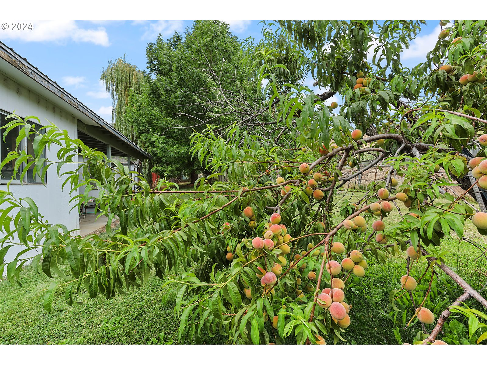 1206 Highway 197 Maupin, OR 97037 - Photo 24 of 31