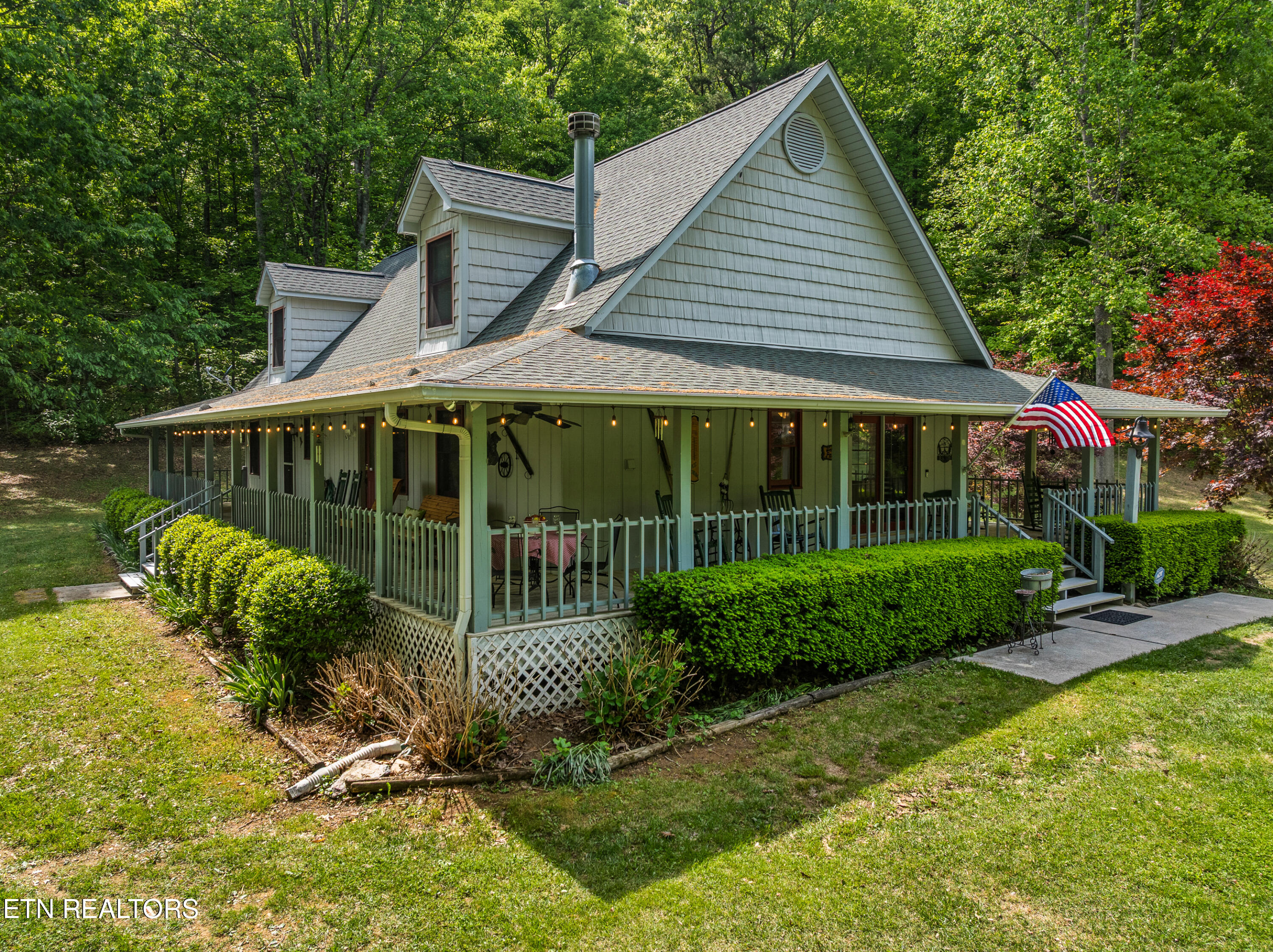 1043 Reagan Springs Road Townsend, TN 37882 - Photo 11 of 51 DJI_0479