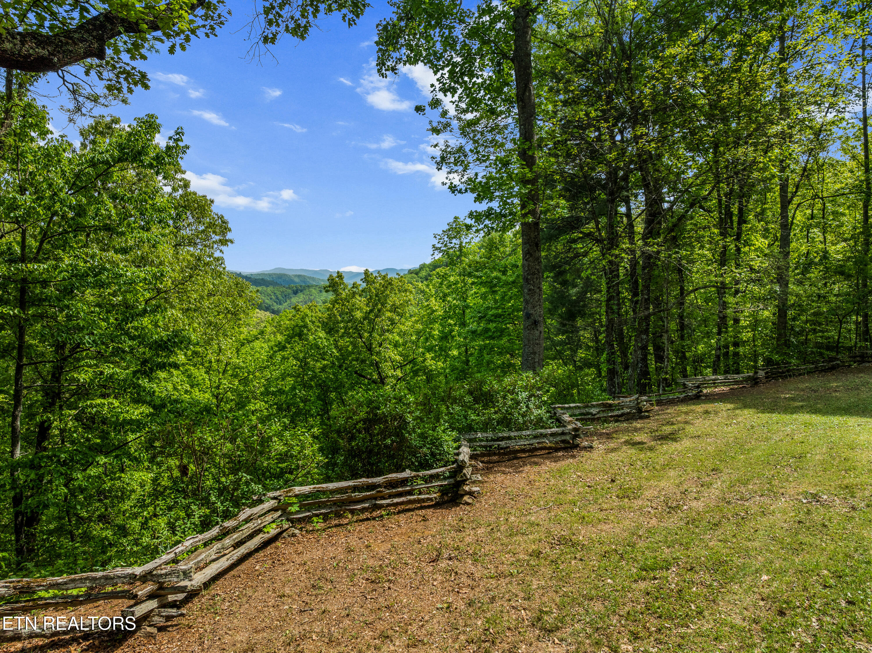 1043 Reagan Springs Road Townsend, TN 37882 - Photo 12 of 51 DJI_0482