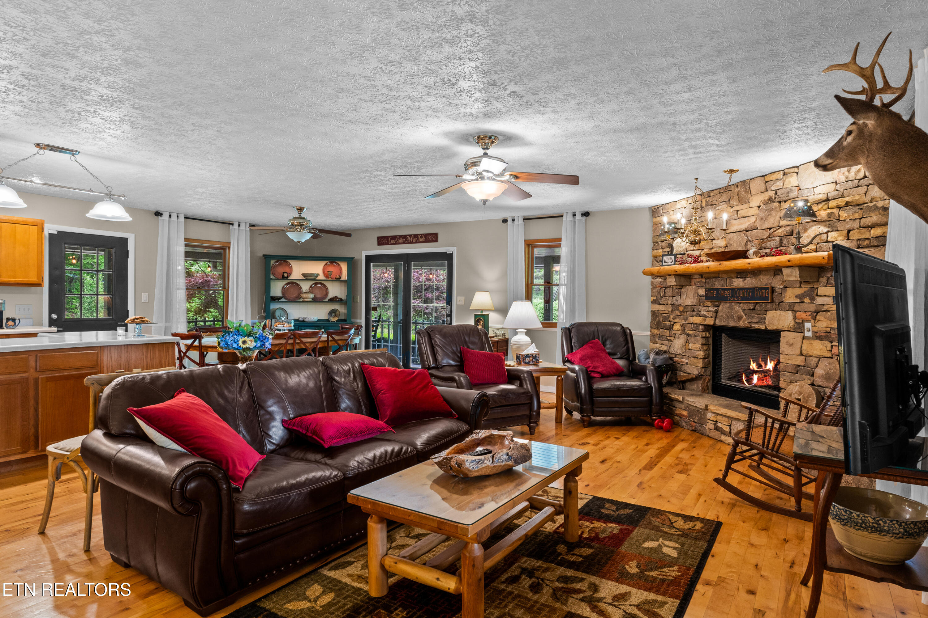 1043 Reagan Springs Road Townsend, TN 37882 - Photo 16 of 51 DSC04720