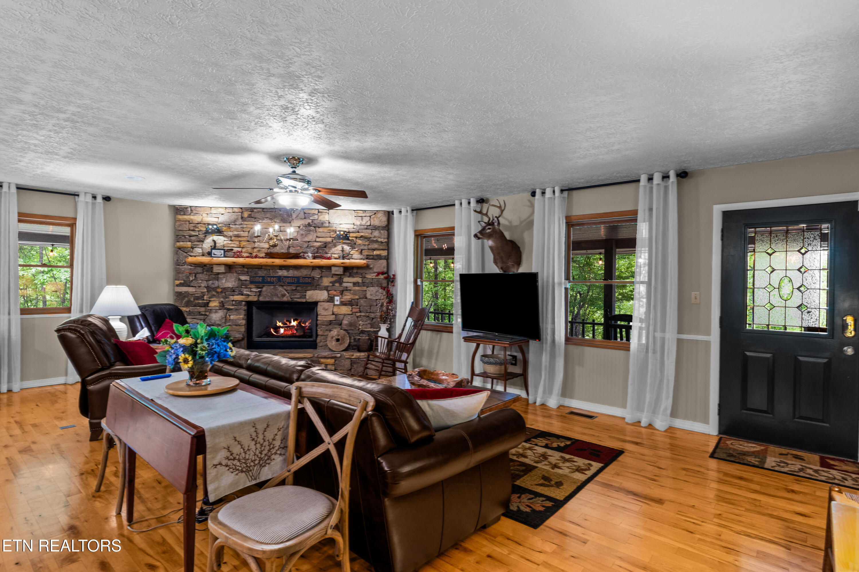 1043 Reagan Springs Road Townsend, TN 37882 - Photo 17 of 51 DSC04785