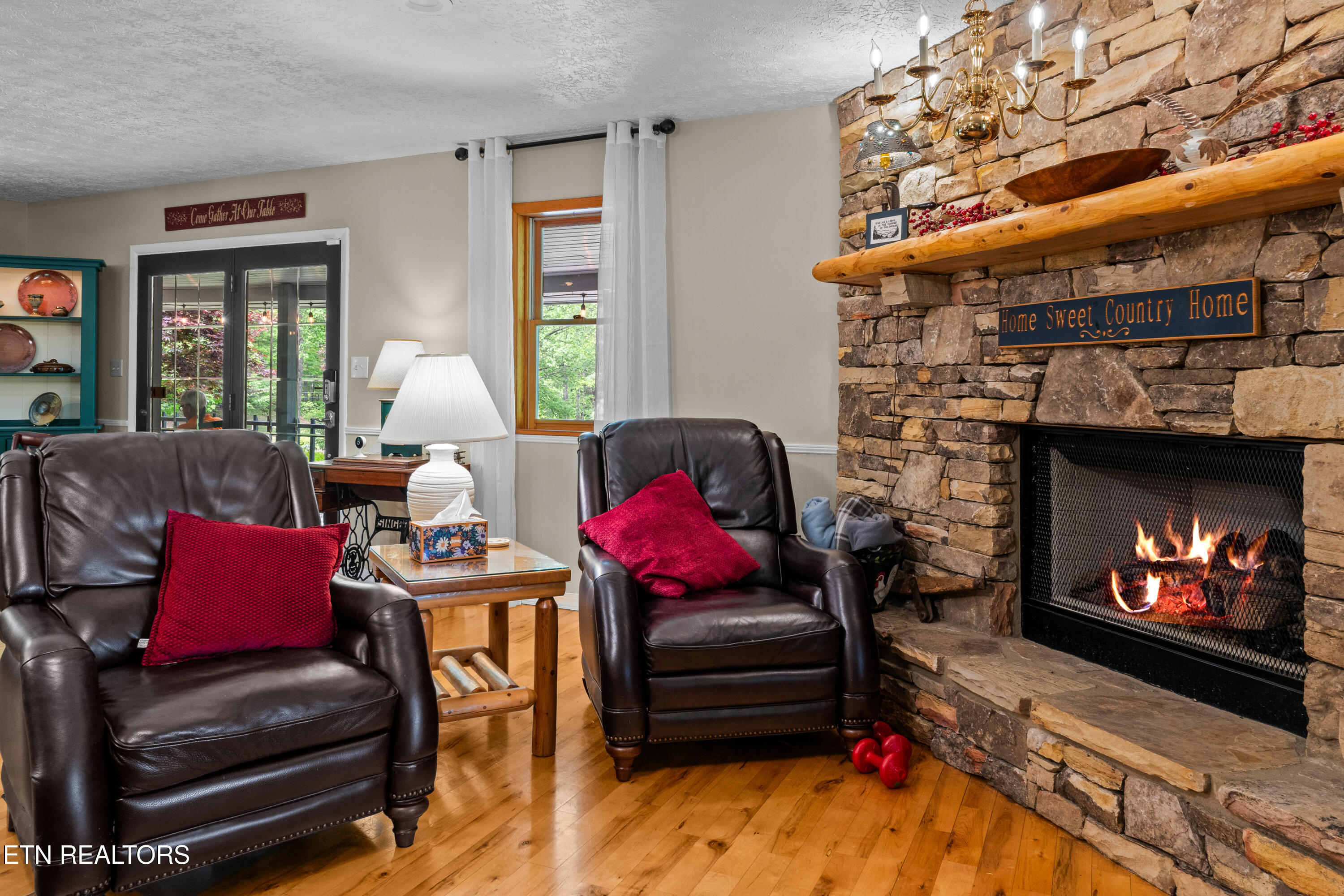 1043 Reagan Springs Road Townsend, TN 37882 - Photo 23 of 51 DSC04745