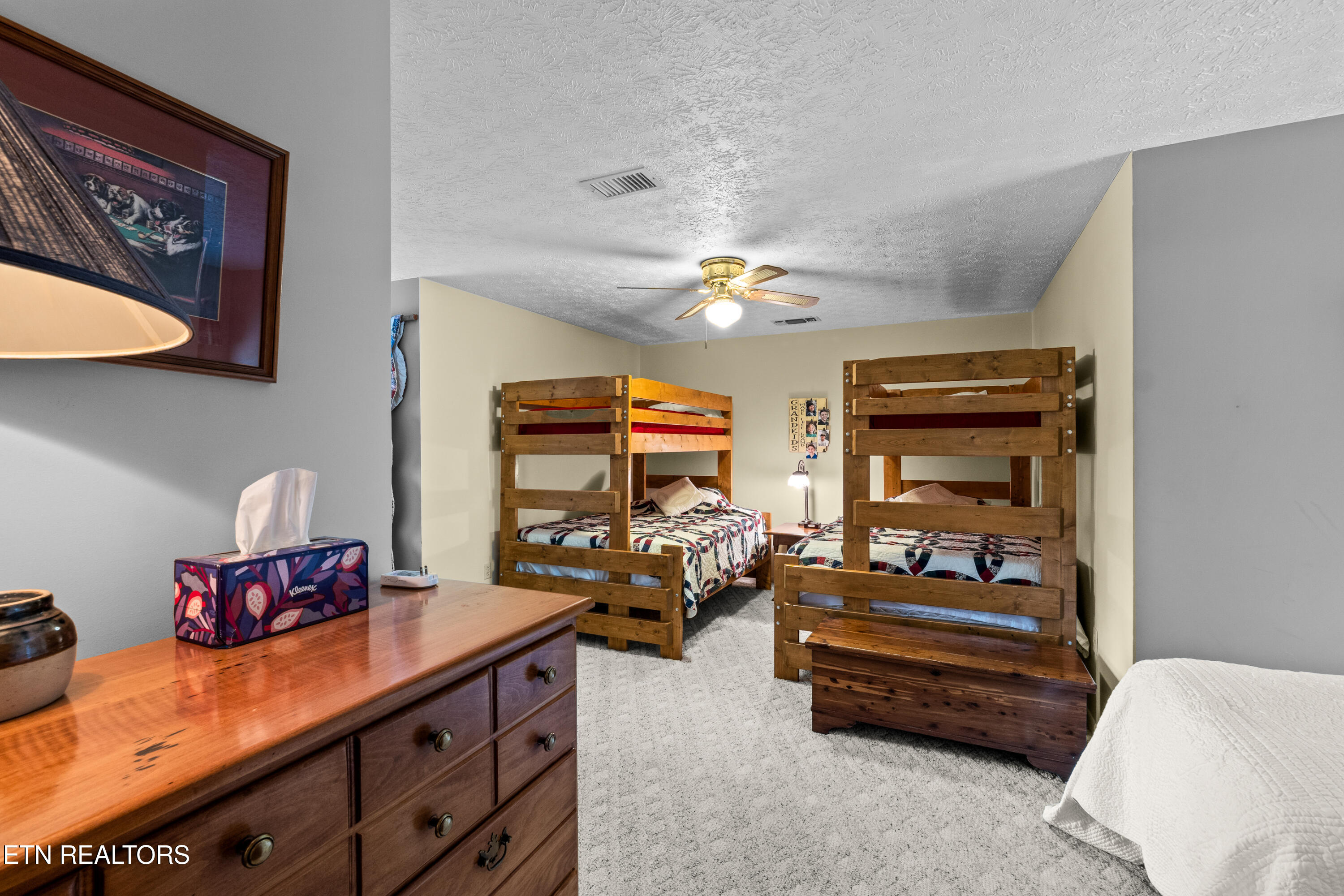 1043 Reagan Springs Road Townsend, TN 37882 - Photo 34 of 51 DSC04855