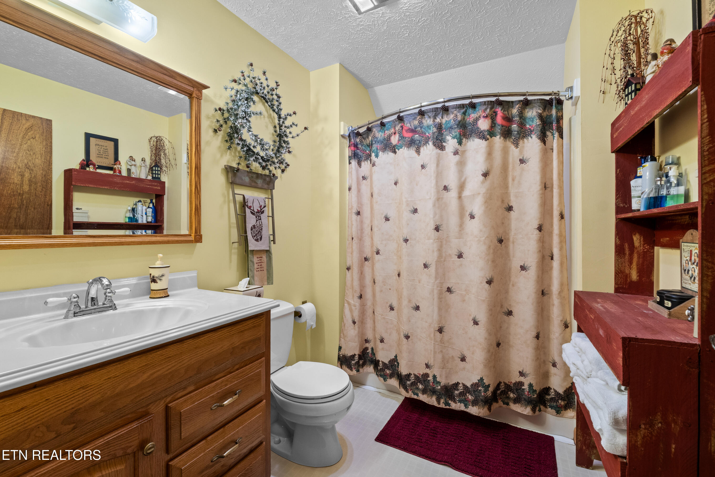1043 Reagan Springs Road Townsend, TN 37882 - Photo 36 of 51 DSC04850