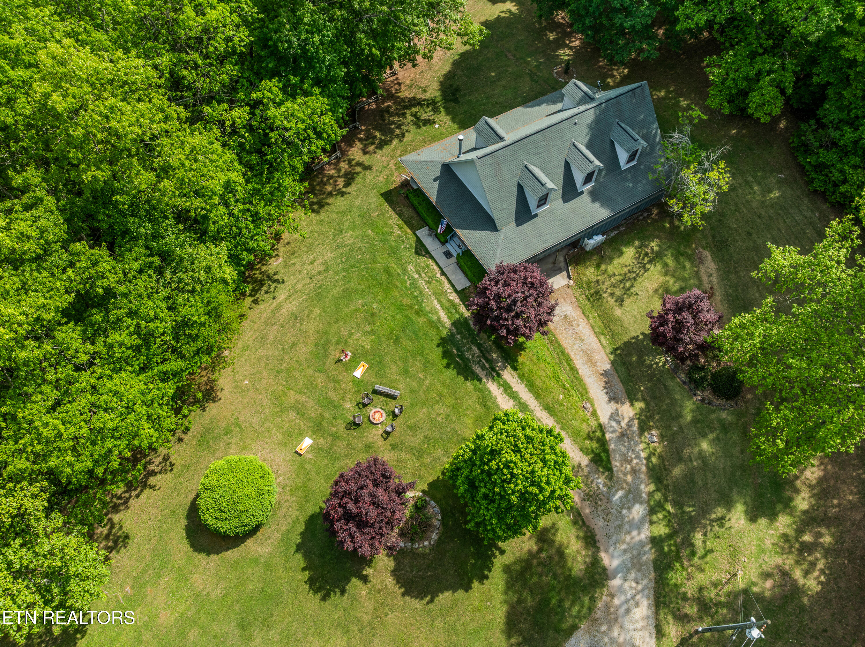 1043 Reagan Springs Road Townsend, TN 37882 - Photo 48 of 51 DJI_0542