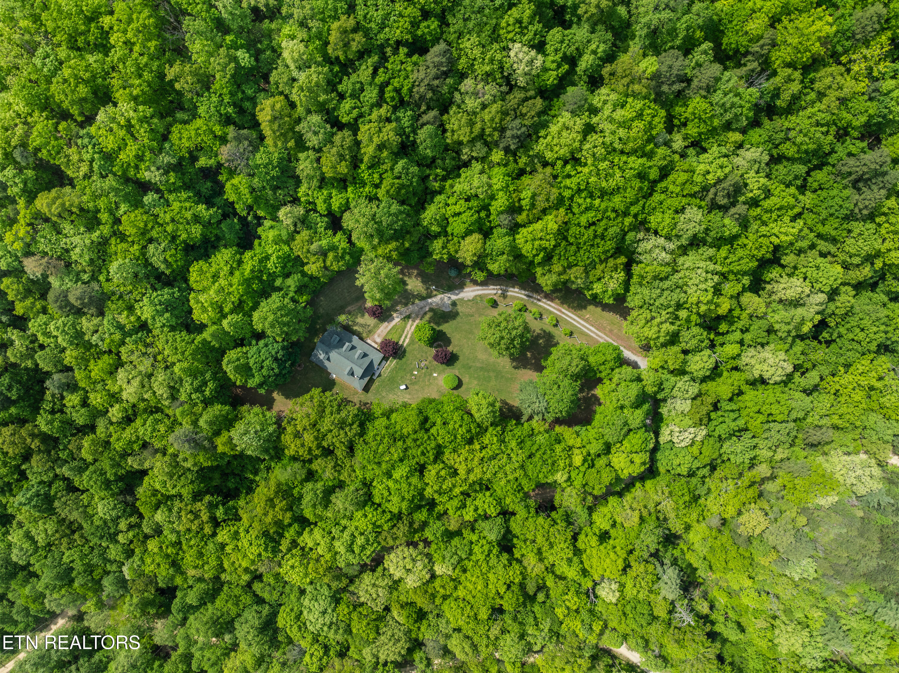 1043 Reagan Springs Road Townsend, TN 37882 - Photo 50 of 51 DJI_0536