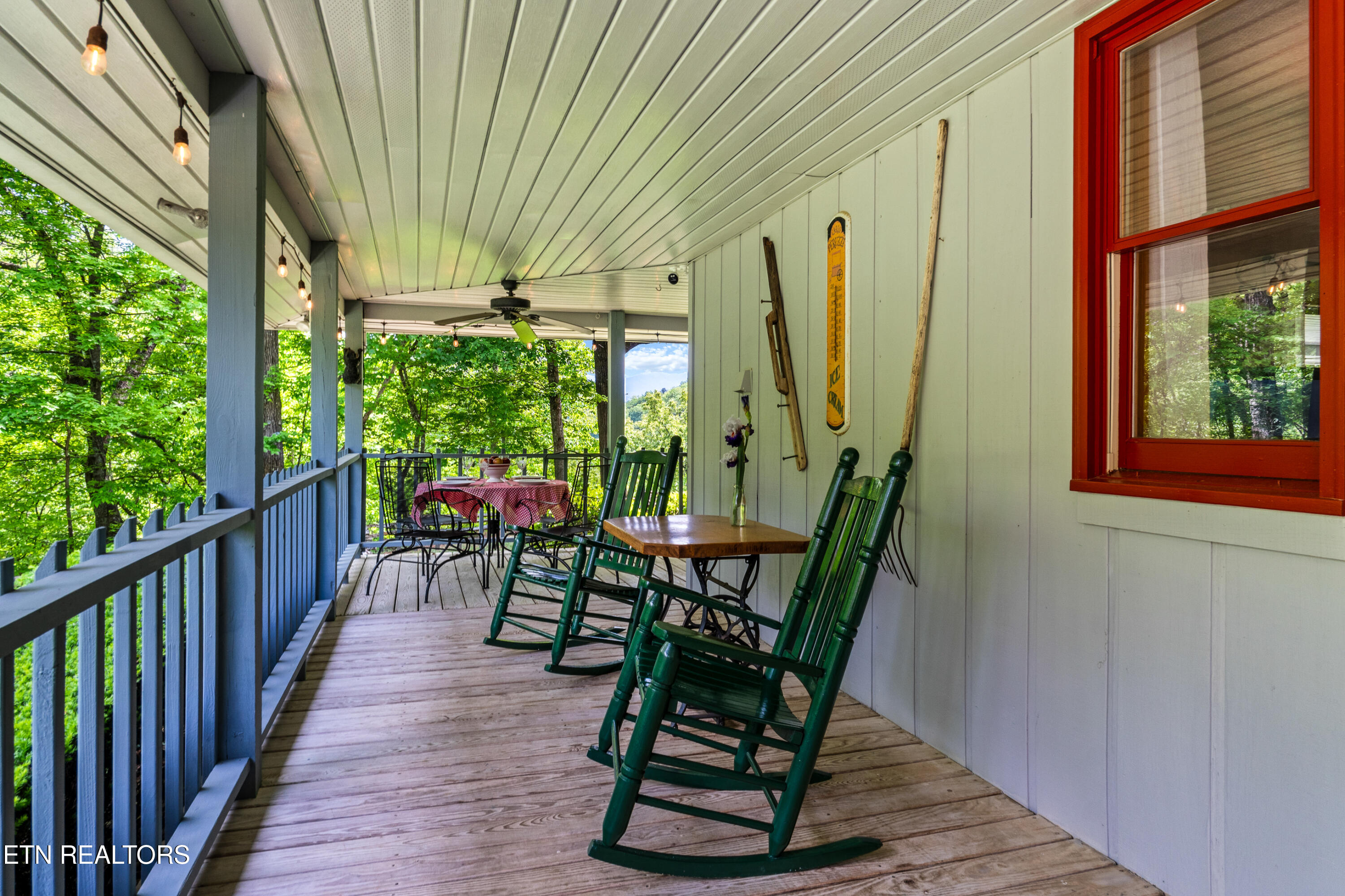 1043 Reagan Springs Road Townsend, TN 37882 - Photo 7 of 51 DSC04660
