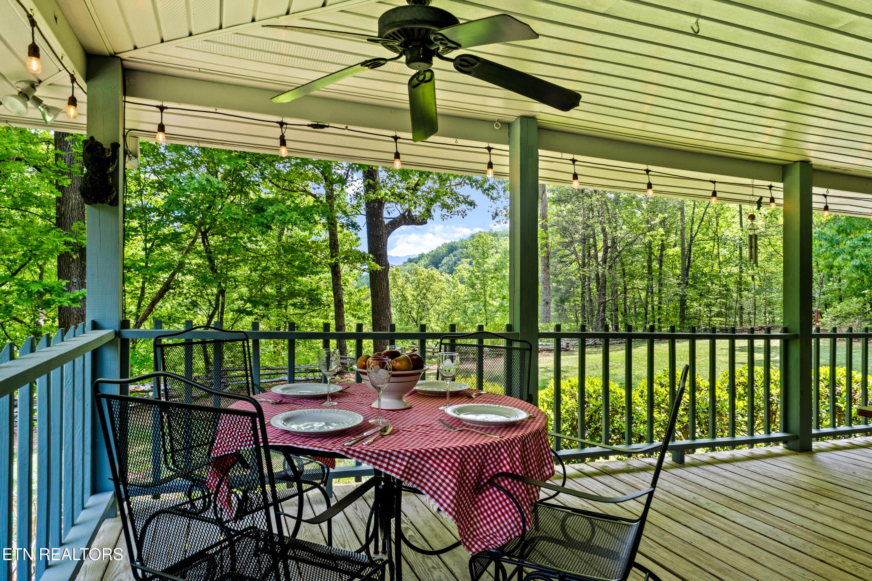 1043 Reagan Springs Road Townsend, TN 37882 - Photo 8 of 51 DSC04665
