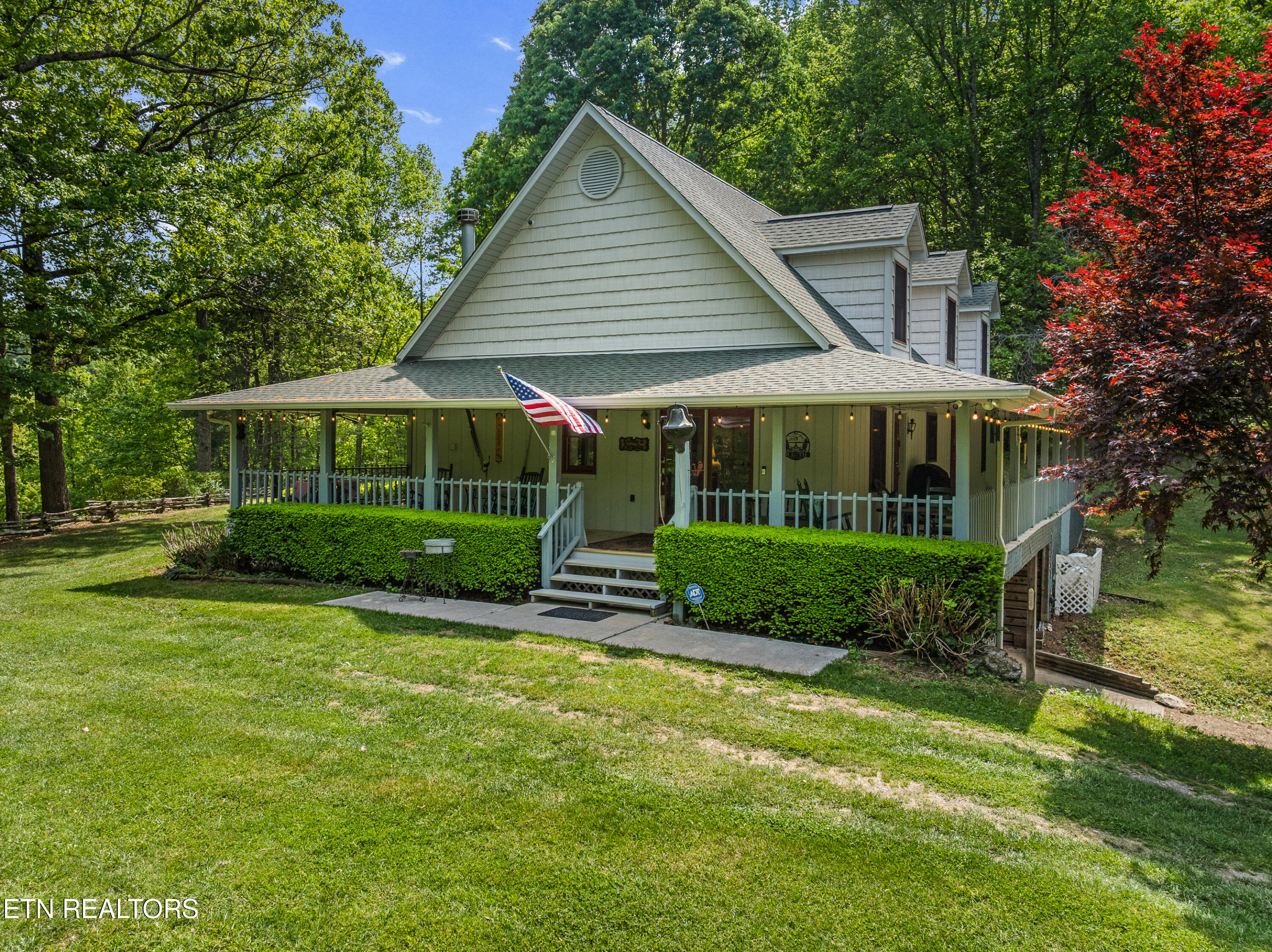 1043 Reagan Springs Road Townsend, TN 37882 - Photo 10 of 51 DJI_0476