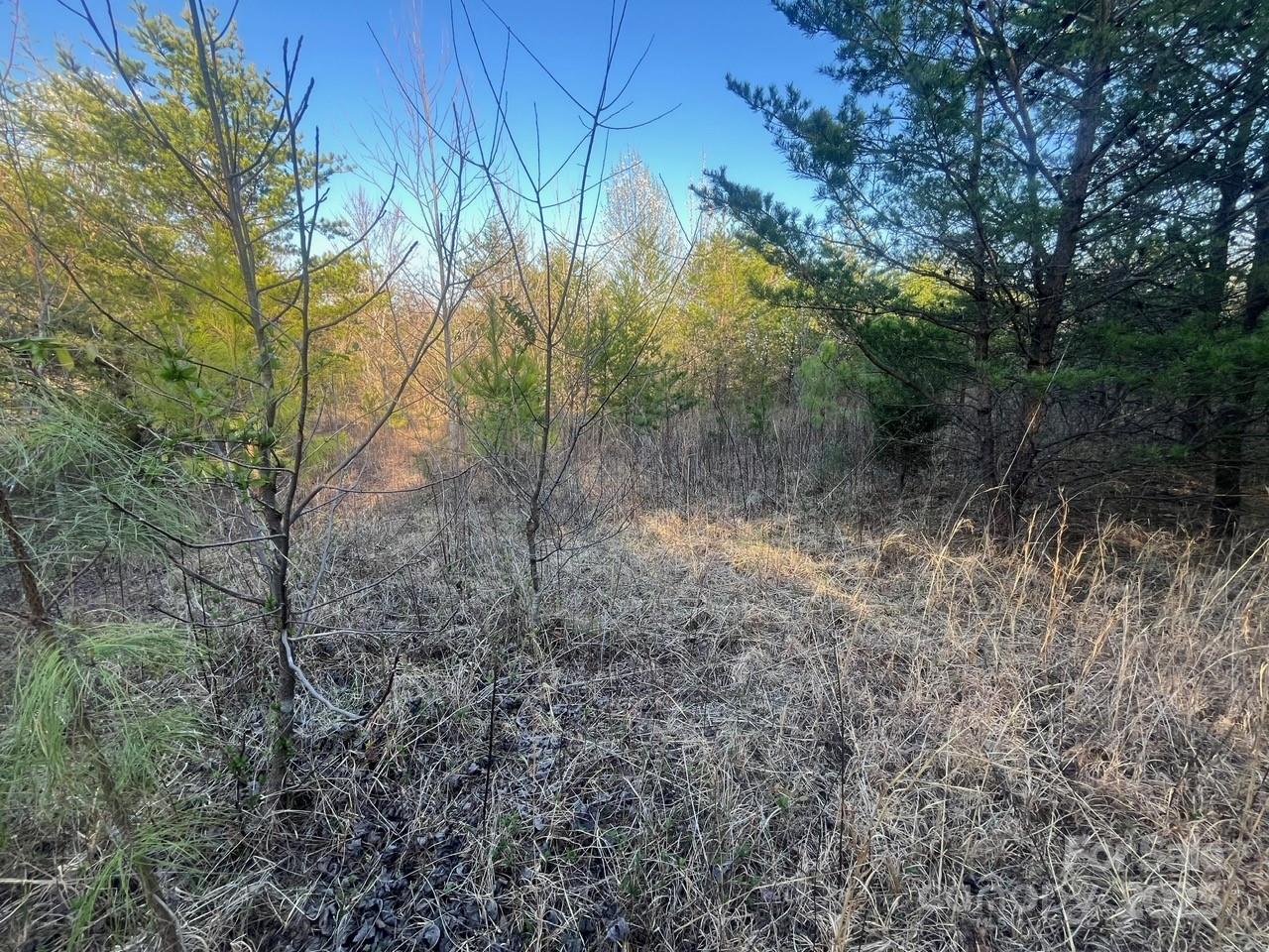 V/l Southern Way Nebo, NC 28761 - Photo 14 of 30 a view of a yard