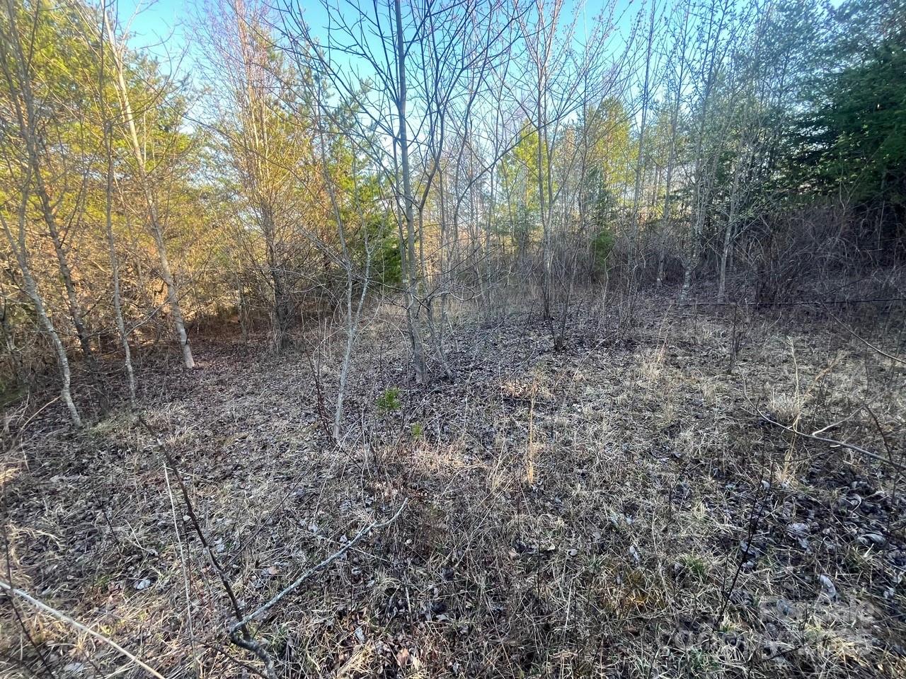 V/l Southern Way Nebo, NC 28761 - Photo 16 of 30 a view of a yard with large trees