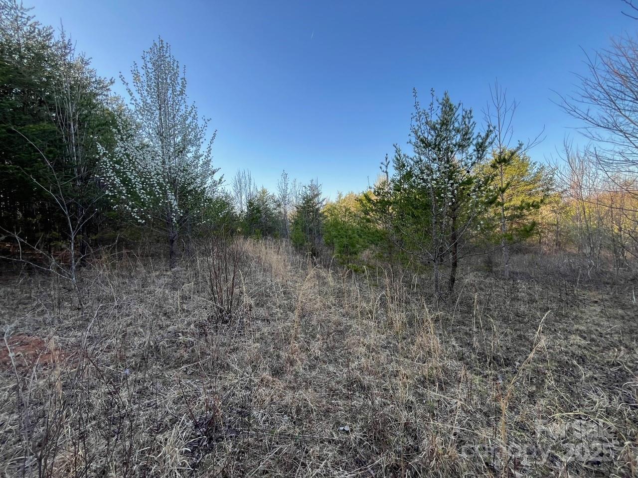V/l Southern Way Nebo, NC 28761 - Photo 19 of 30 a view of a forest with trees in the background