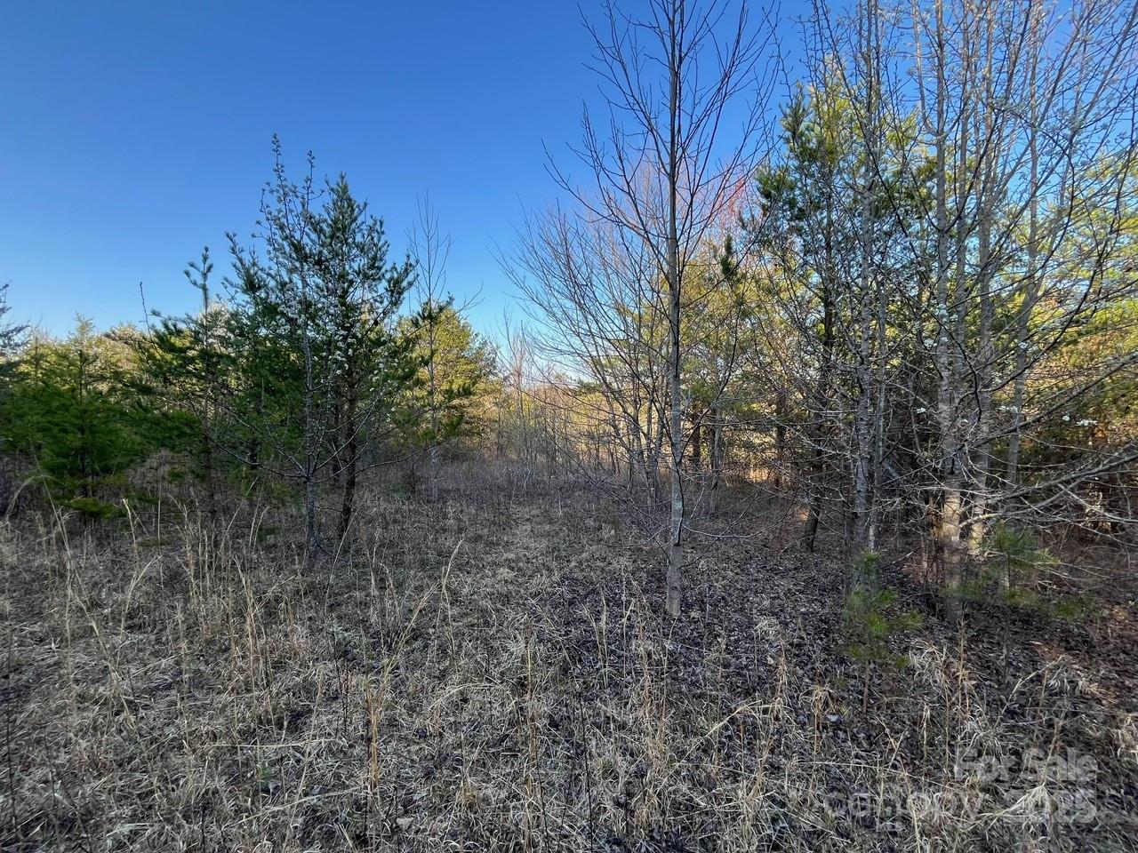 V/l Southern Way Nebo, NC 28761 - Photo 20 of 30 a view of a forest with trees in the background
