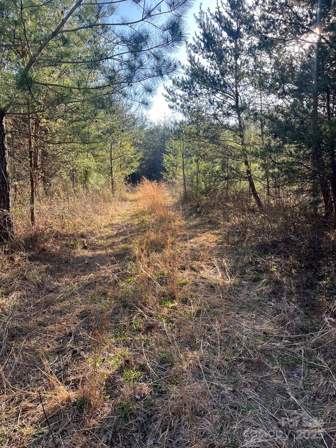 V/l Southern Way Nebo, NC 28761 - Photo 2 of 30 a view of a yard with plants and trees