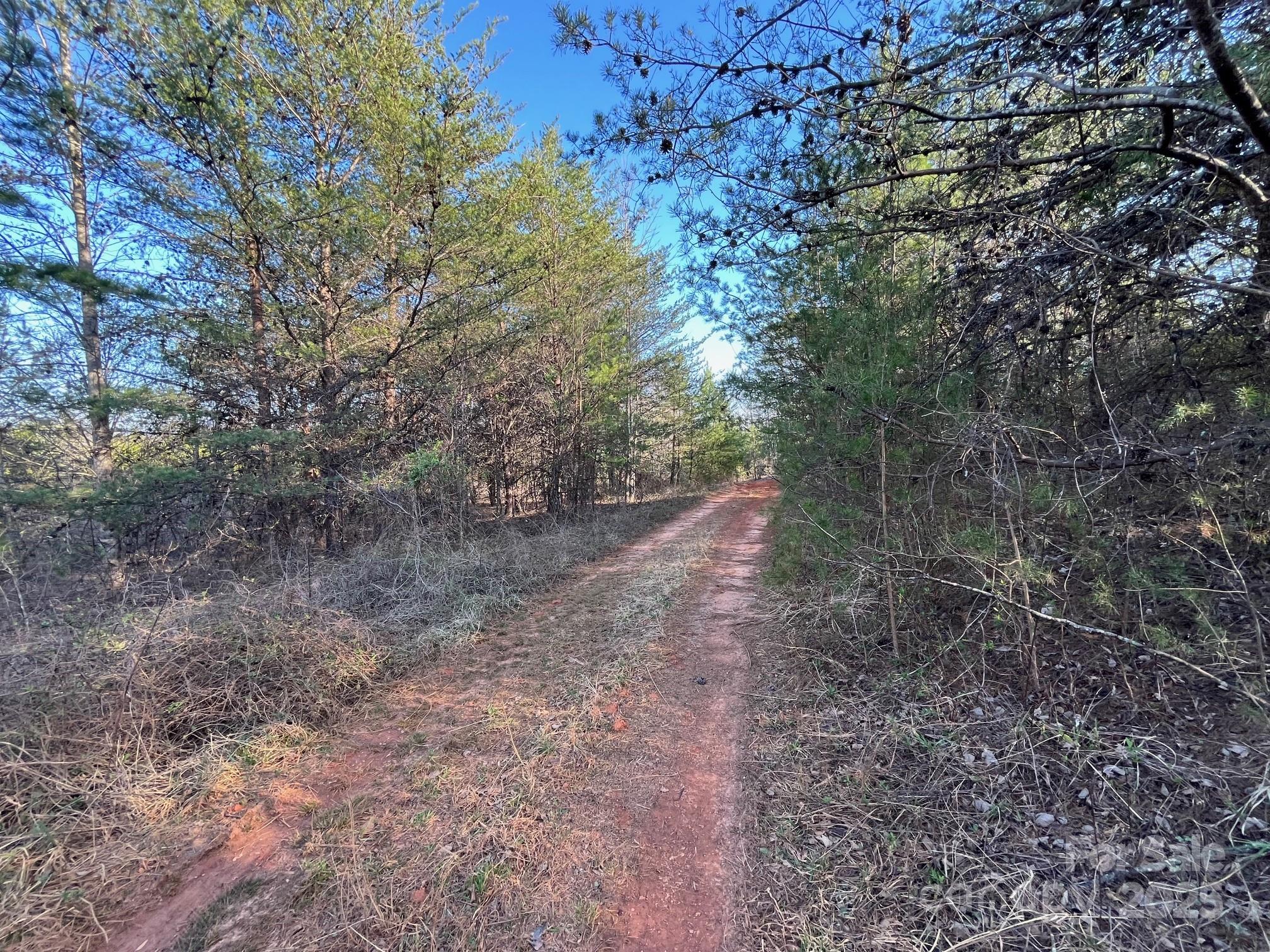 V/l Southern Way Nebo, NC 28761 - Photo 21 of 30 a view of a forest with trees in the background
