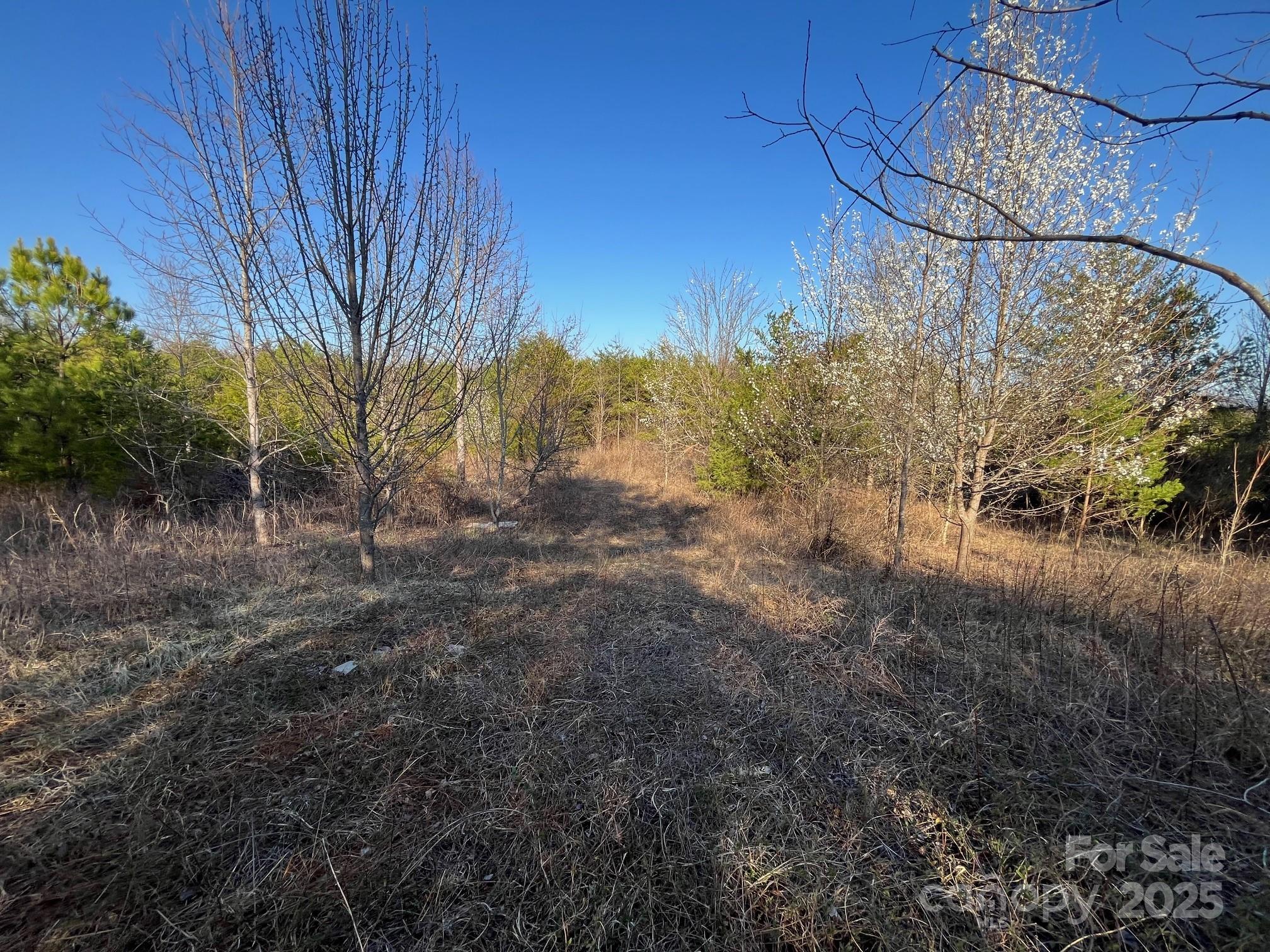 V/l Southern Way Nebo, NC 28761 - Photo 22 of 30 a view of a yard with a tree