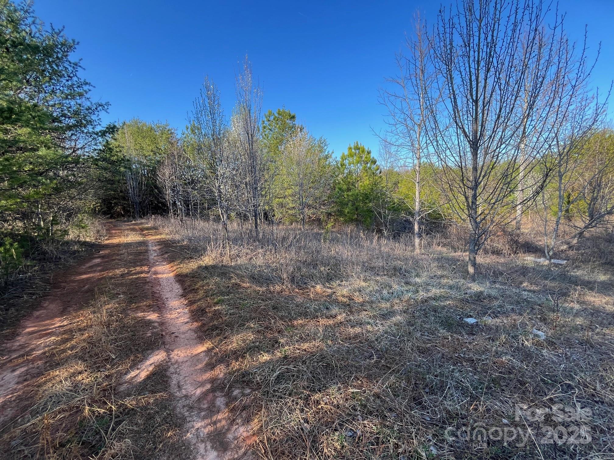 V/l Southern Way Nebo, NC 28761 - Photo 23 of 30 a view of a yard with trees