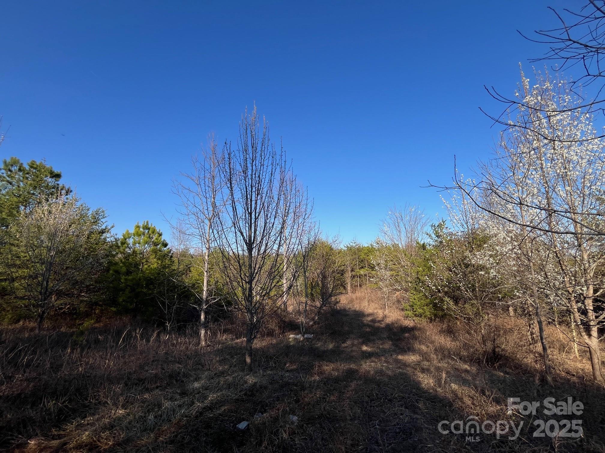 V/l Southern Way Nebo, NC 28761 - Photo 24 of 30