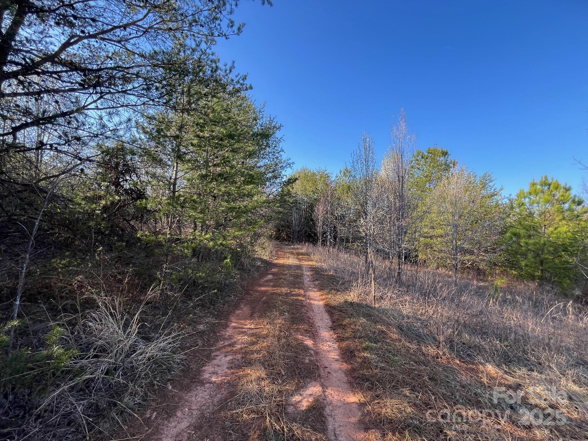 V/l Southern Way Nebo, NC 28761 - Photo 25 of 30 a view of a yard with trees