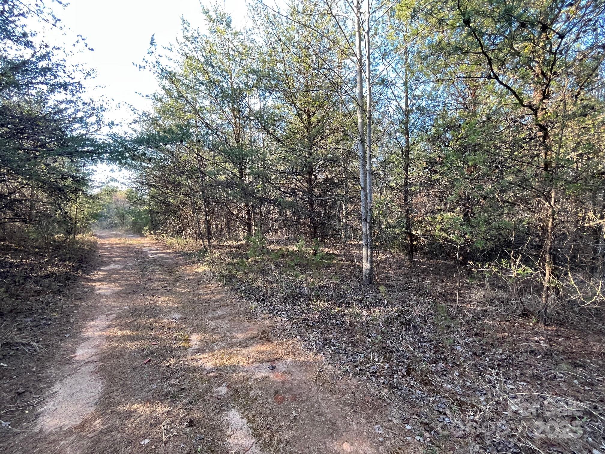 V/l Southern Way Nebo, NC 28761 - Photo 26 of 30 a view of a forest with trees in the background