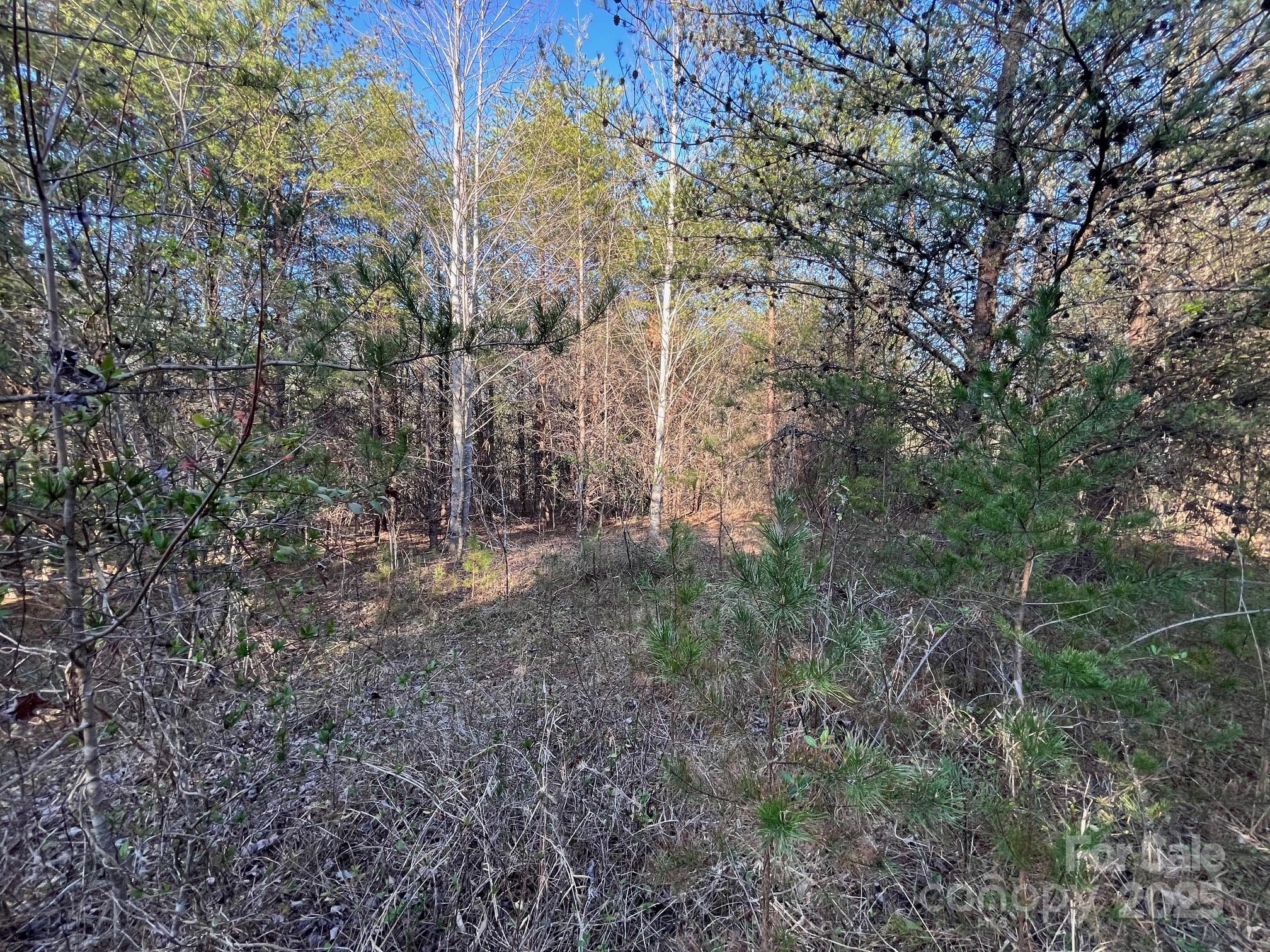 V/l Southern Way Nebo, NC 28761 - Photo 27 of 30 a view of a yard with large trees