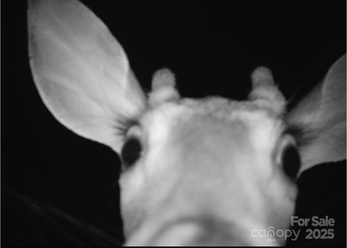 V/l Southern Way Nebo, NC 28761 - Photo 4 of 30 a view of cabinets