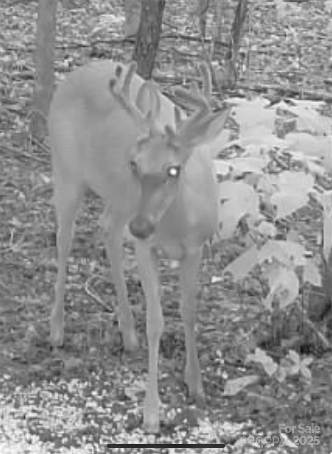 V/l Southern Way Nebo, NC 28761 - Photo 7 of 30 a bathroom with a shower