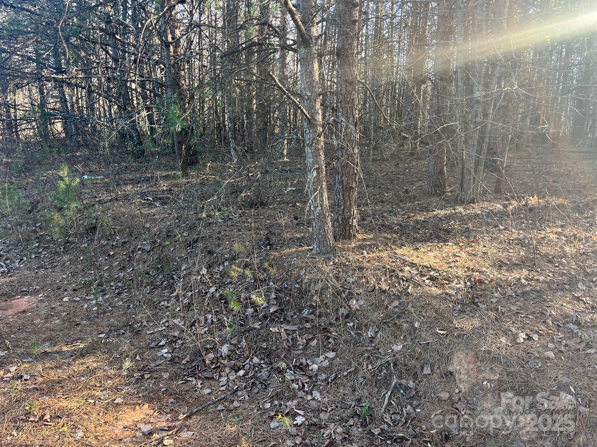 V/l Southern Way Nebo, NC 28761 - Photo 10 of 30 a view of a yard with trees in the background