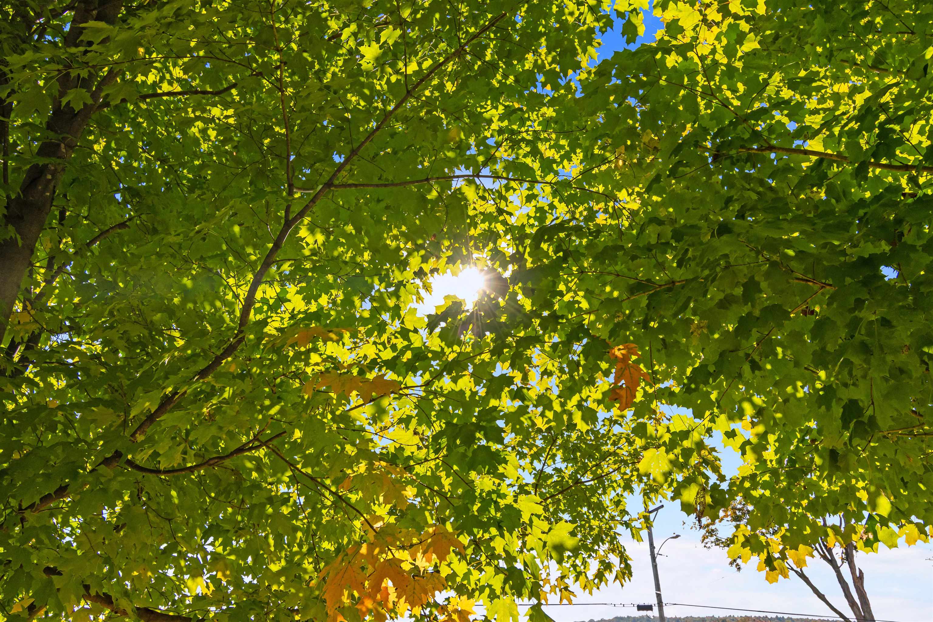 123 N Road Fairfield, VT 05455 - Photo 60 of 60