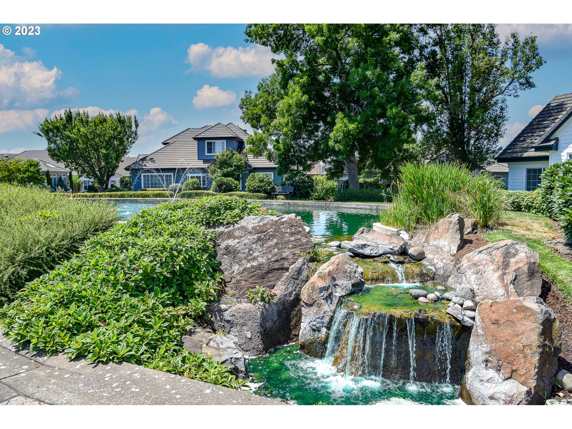 2002 Lake Shore Drive Eugene, OR 97408 - Photo 6 of 37 a view of backyard with outdoor space and trees
