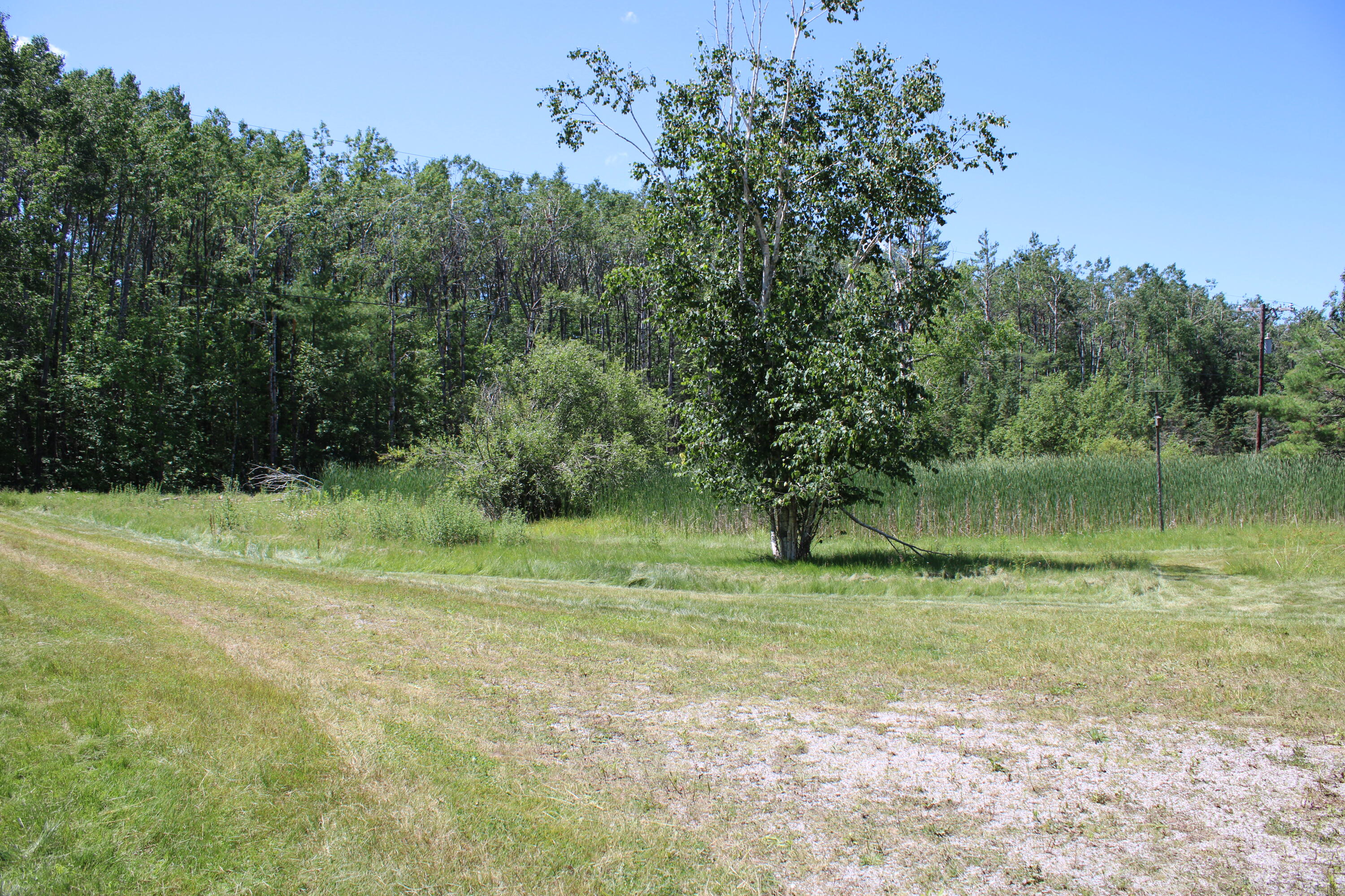 136 Ray Road Mio, MI 48647 - Photo 4 of 19 IMG_7005
