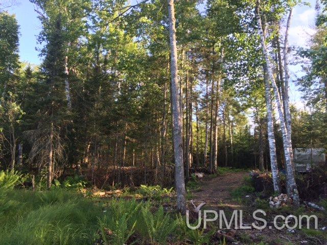 Tbd North Helen Lake Road Republic, MI 49879 - Photo 1 of 1