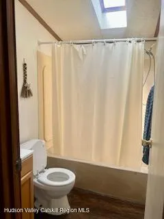 a bathroom with a sink and a toilet