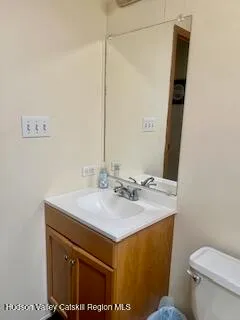 a bathroom with a sink and a toilet