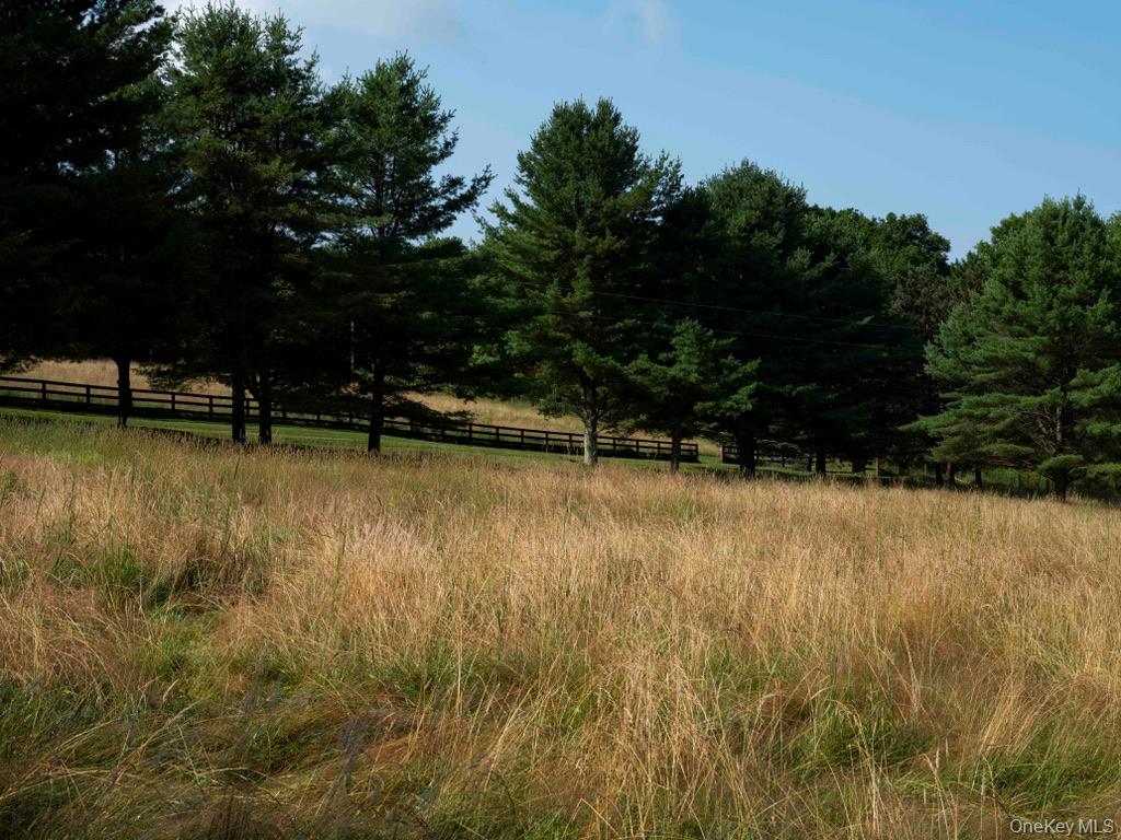 284 Ridge Road Hamden, NY 13782 - Photo 35 of 44 Gallery Image 35