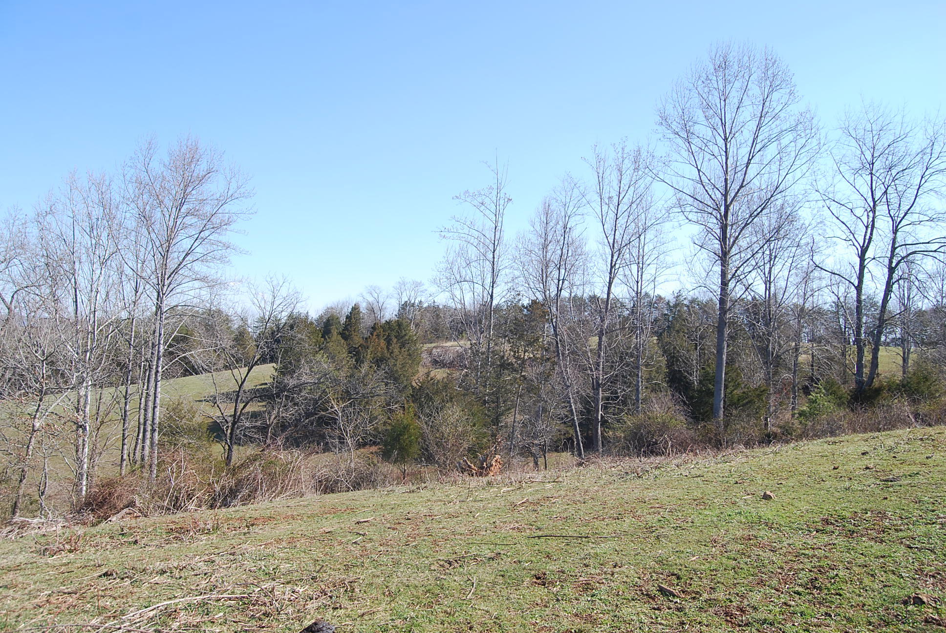 Lot 2 Altice Road Moneta, VA 24121 - Photo 7 of 22 DSC_0576