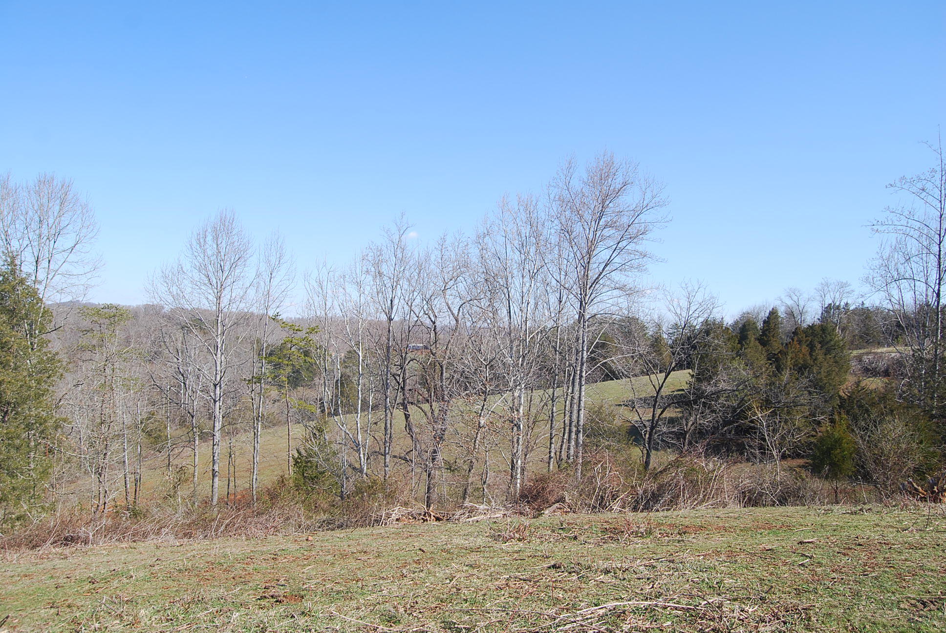 Lot 2 Altice Road Moneta, VA 24121 - Photo 8 of 22 DSC_0577