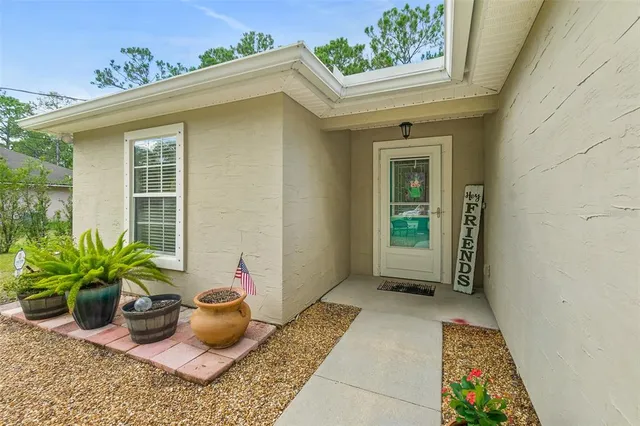 a potted plant sitting in front of a door