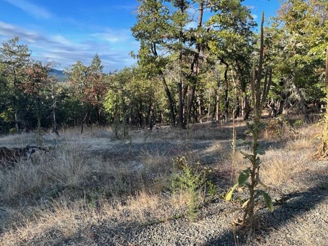 1663 Southside Road, Unit 205 Grants Pass, OR 97527 - Photo 3 of 9 Large open area