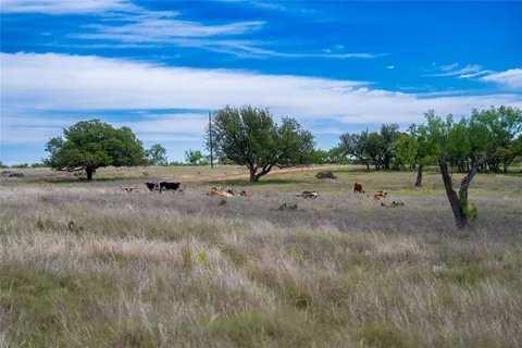 $3,625,000 | 12350-125 Highway 16, Fredericksburg, TX 78624